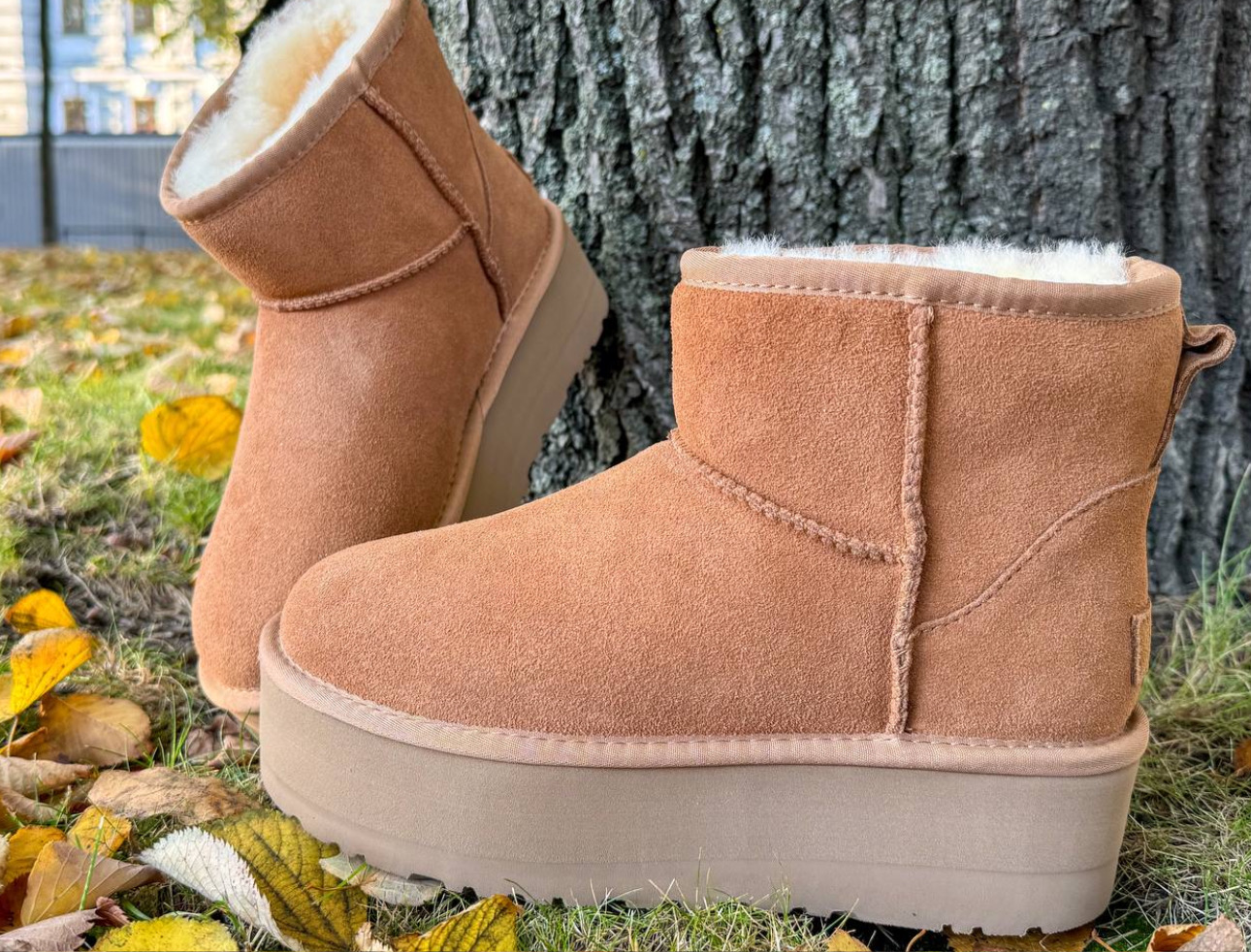 UGG Ultra Platform Chestnut 