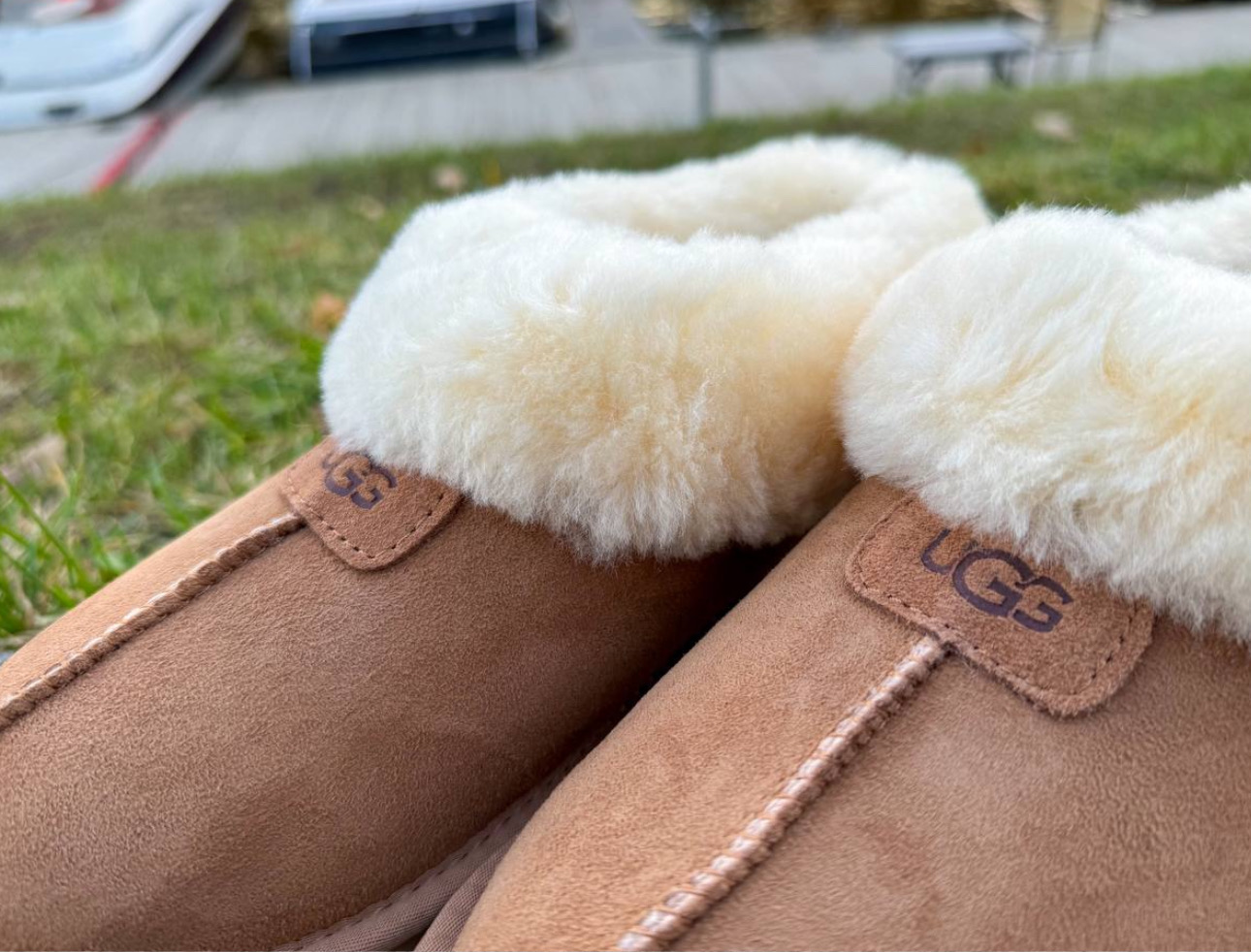 UGG Mini Platform Chestnut 