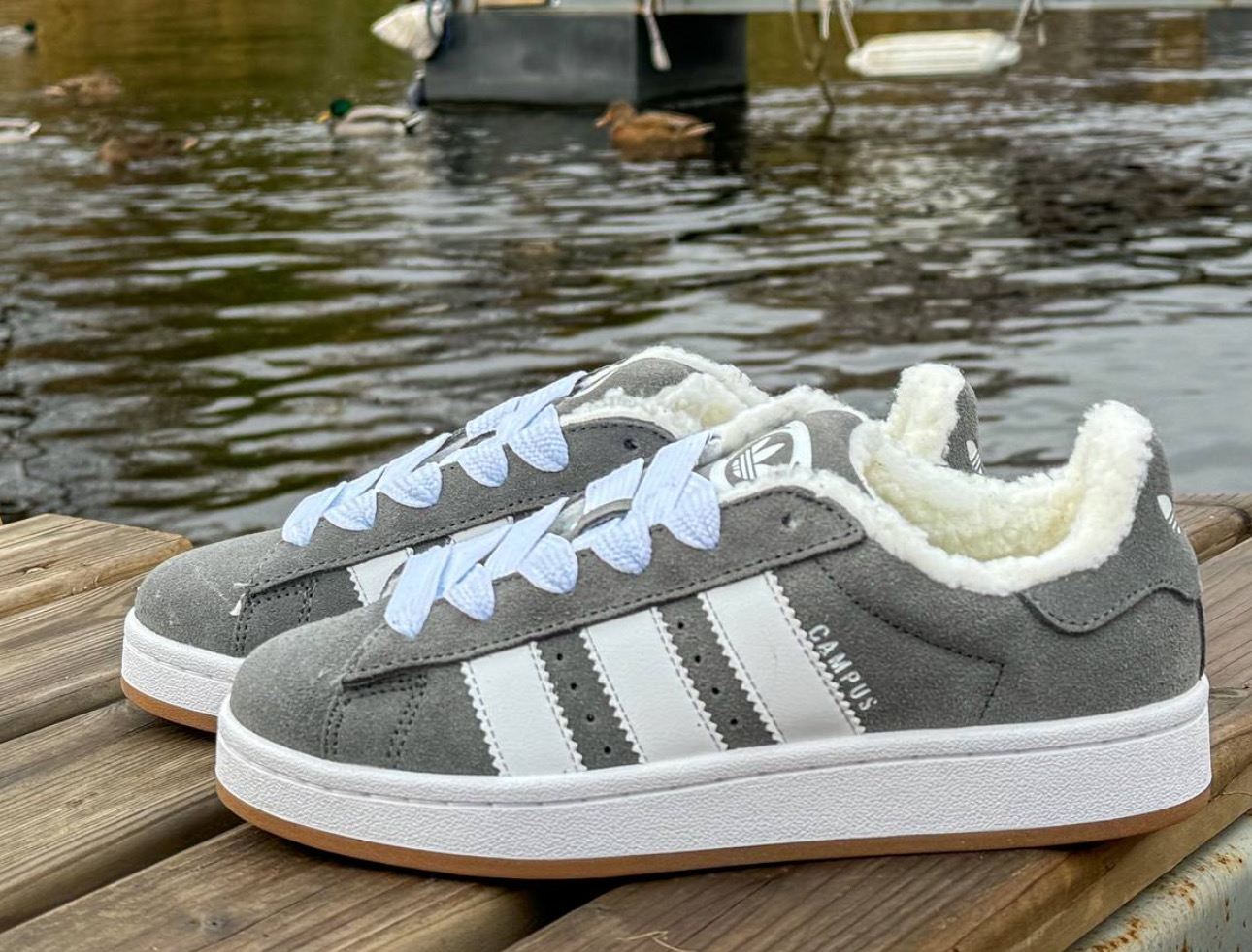 Adidas Campus Grey